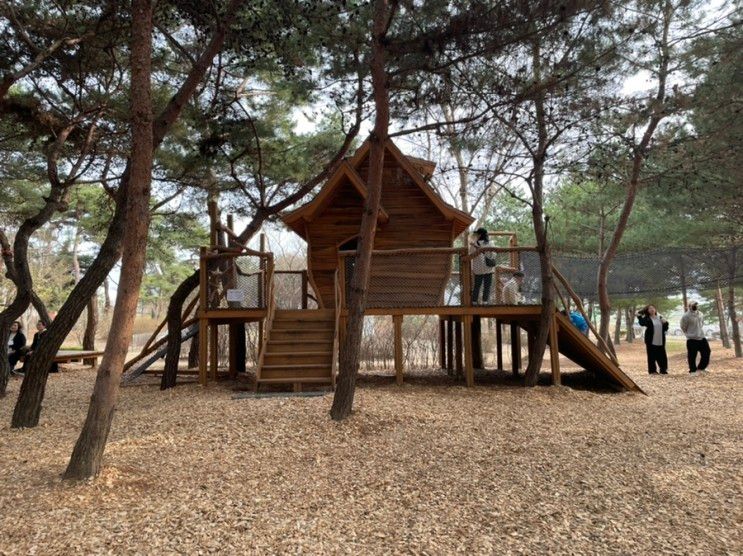 춘천 애니메이션 박물관 야외 숲놀이터-서면유아숲체험원