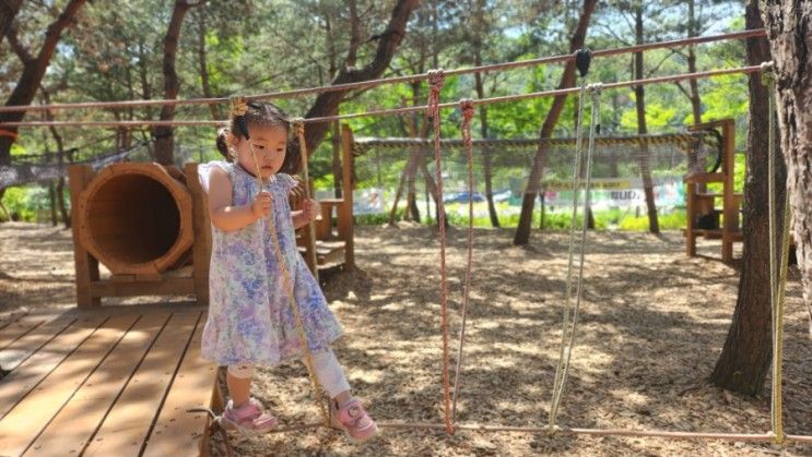 춘천 서면 유아숲체험원 숲놀이터 짚라인 운영시간 : 5살, 7살...