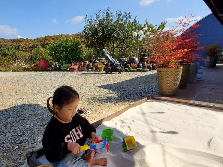 연천 수농원으로 놀러갔어요! 하루의 촌캉스