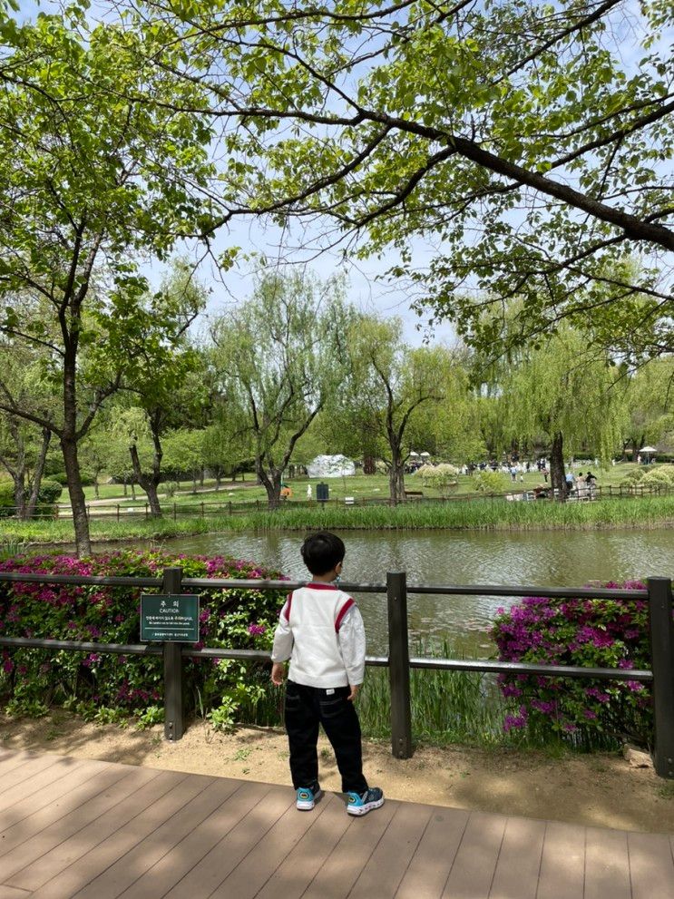 아이와 가볼만한곳 추천, 용산가족공원 나들이 + 깨비의숲마을... 