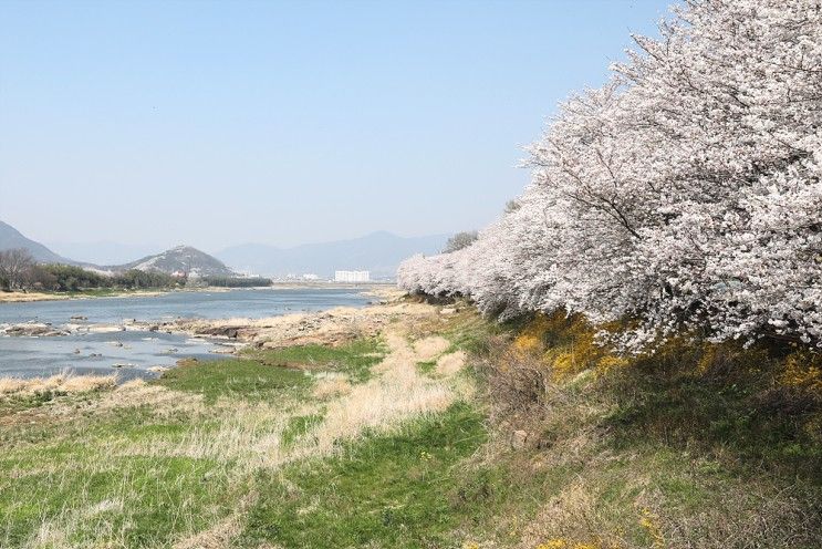 섬진강책사랑방, 지리산역사문화관(한국일보 2022.04.02)