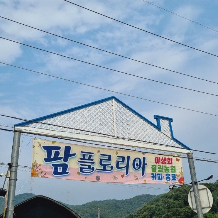 [안산/화정동카페] 야생화 힐링 농원 카페 :: 팜플로리아