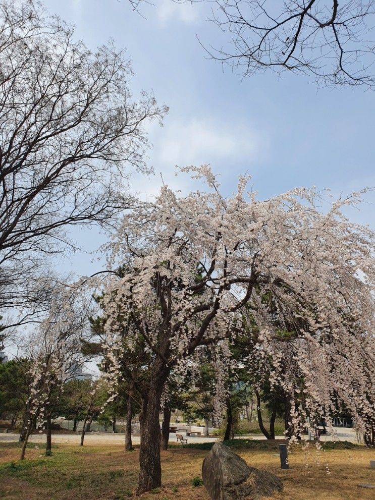 용산 가족공원 나들이