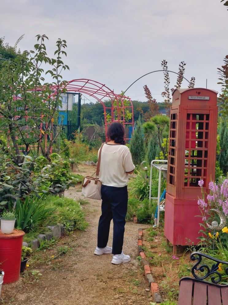 안산 이색카페 팜플로리아 찐후기