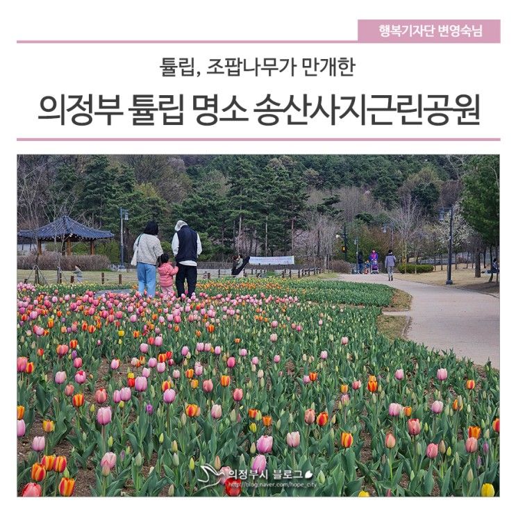 의정부 튤립 명소 <송산사지근린공원>