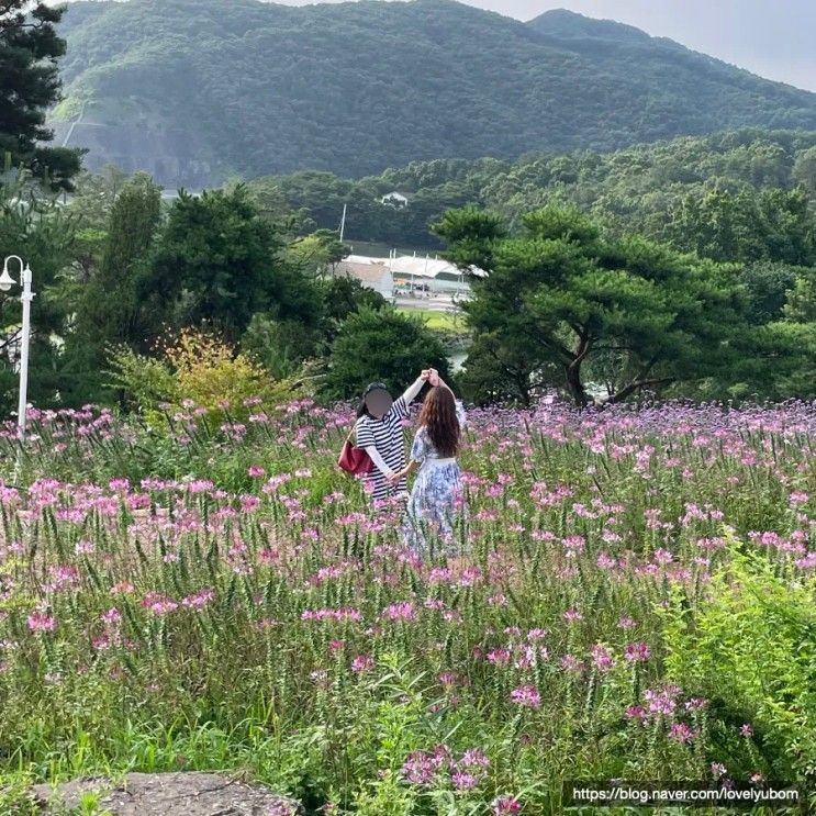 [충북 증평 리조트] 장마기간에 방문한 블랙스톤 벨포레...