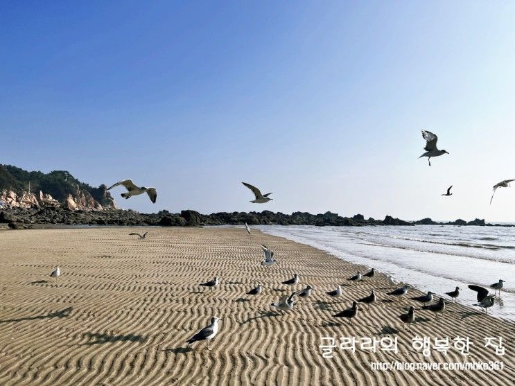 인천 영종도 갈만한곳 선녀바위해수욕장 선녀바위둘레길