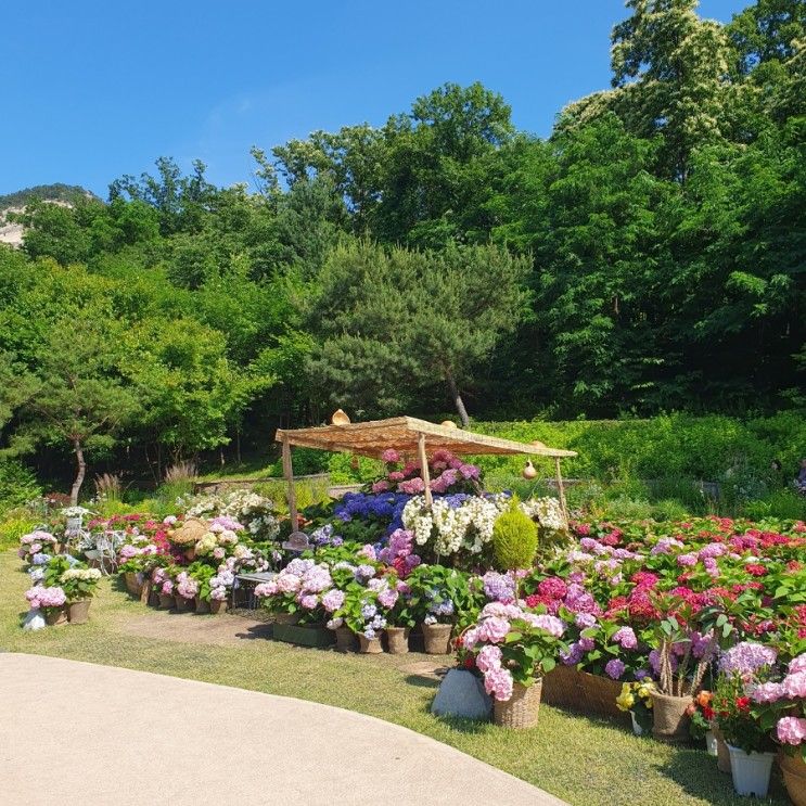 노원 가볼만한 곳, 불암산힐링타운 불암산나비정원