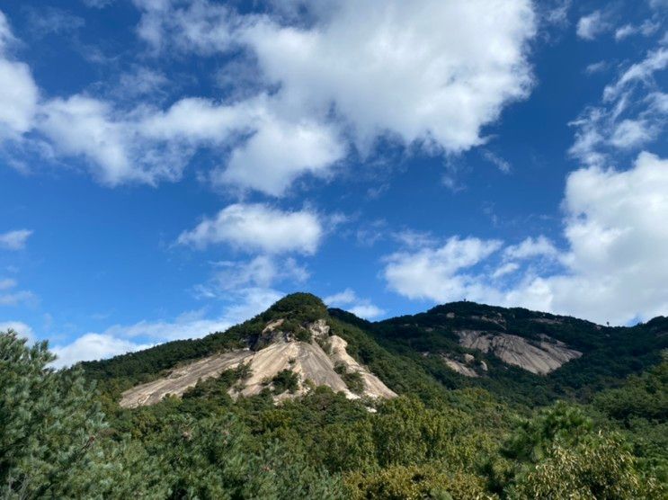 불암산 나비정원(엘리베이터 전망대,주차장)