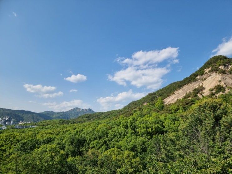 서울 불암산 나비정원 철쭉동산 전망대 데크길 걷기좋은길 주차장