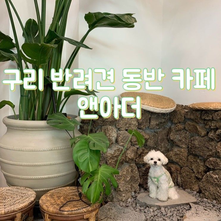[구리 브런치 카페] 앤아더 | 서울숲 핫플 카페앤아더가 구리...