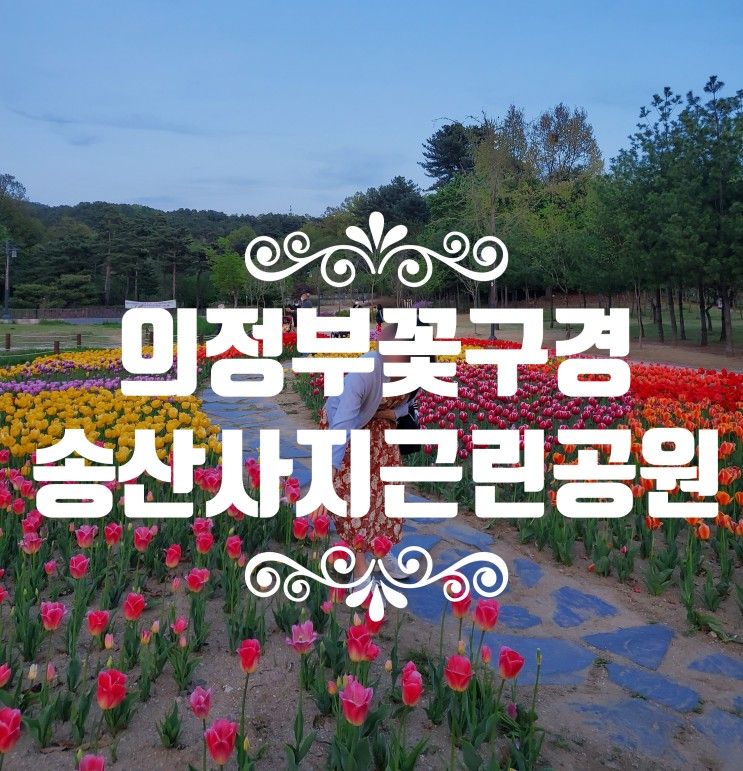 송산사지 근린공원의 낮과 밤  의정부 꽃구경