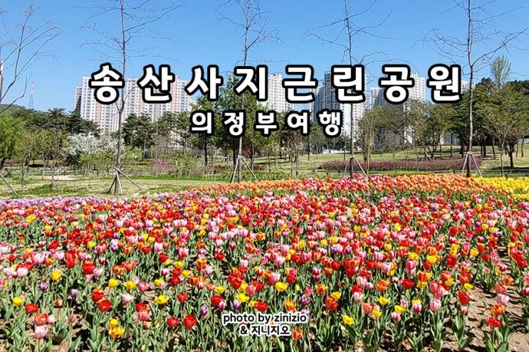 강북가볼만한곳 봄꽃구경 튤립 의정부공원 송산사지근린공원