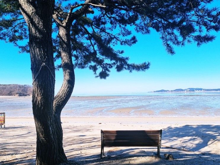 인천 무의도 실미도 해수욕장 유원지 겨울 바다 구경