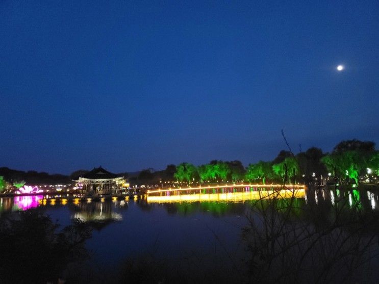 부여 7월에 가볼만한곳 추천, 궁남지 (부여서동연꽃축제, 맛집...