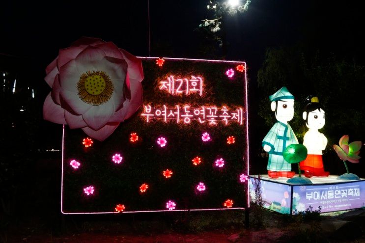 충남부여 궁남지 제 21회 서동연꽃축제 반려견동반 여행지