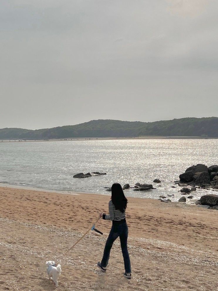 가능 바다 뷰 캠핑,차박 성지 |무의도 실미도 유원지