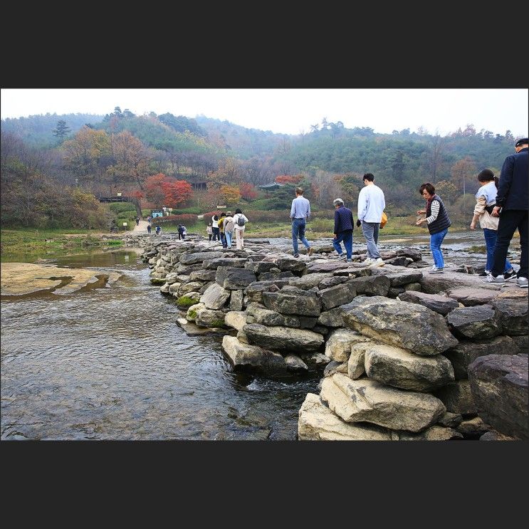 충북 진천 가볼만한곳 진천 농다리 둘레길 단풍과 초평호 :: ft....