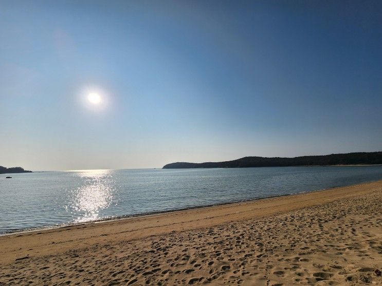 바로 앞 초근접 인천 중구 캠핑장. 실미도 유원지(차박 가능)