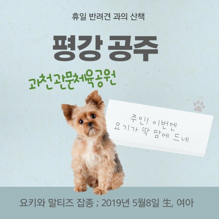 우리집 반려견 평강공주와 휴일산책은 과천 관문체육공원 으로~~