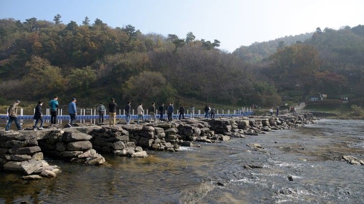 천년의 세월을 견딘 진천 농다리