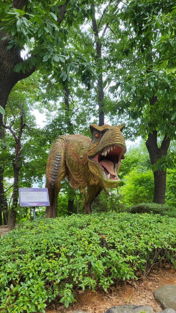 남양주 가볼만한곳 아이와함께라면 미호박물관 추천! (입장료...