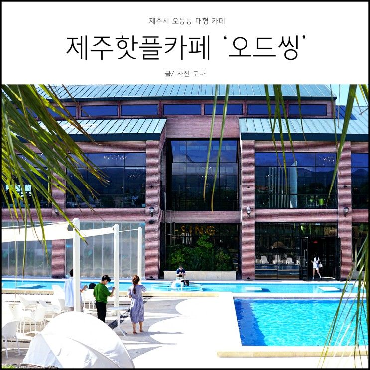 핫플 종합 모듬세트 ! 제주 추천카페  '오드씽'