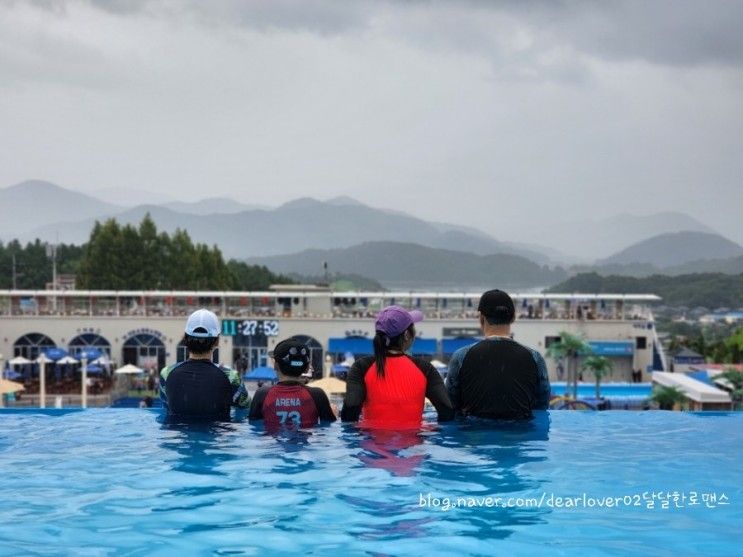 전북 물놀이 전주 완주 워터파크 아쿠아틱파크 아마존