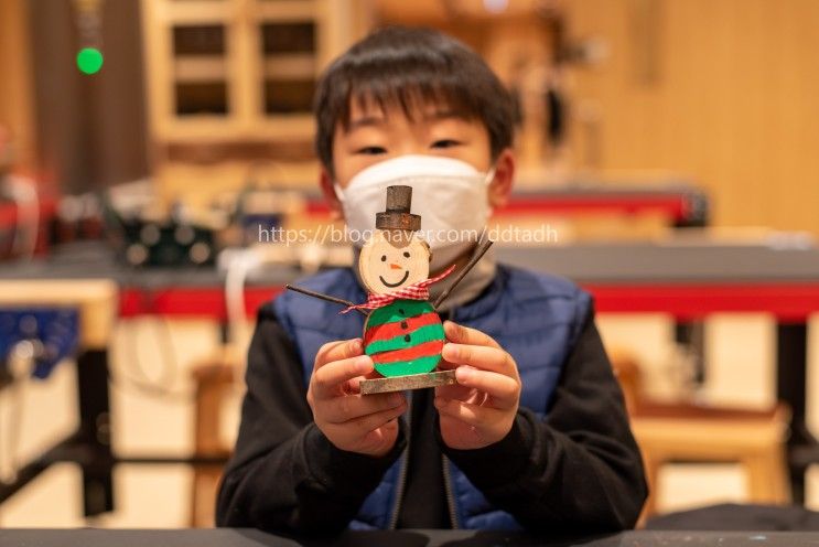 충남 보령 가볼만한곳  보령목재문화체험장 보령무궁화수목원