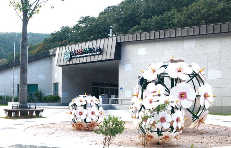 보령시 힐링스팟 추천!... 보령목재문화체험장, 무장애나눔길