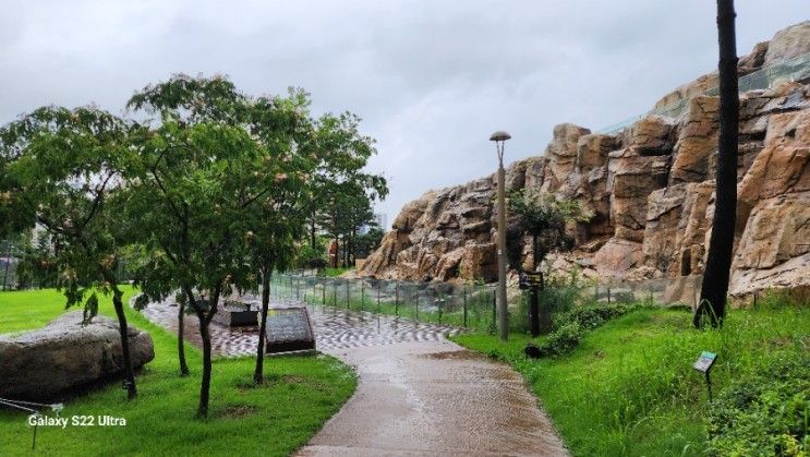 다산중앙공원