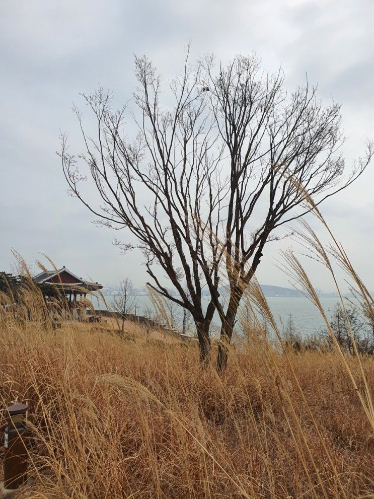 영종도 아이와 가기좋은 구읍뱃터 영종진 산책로