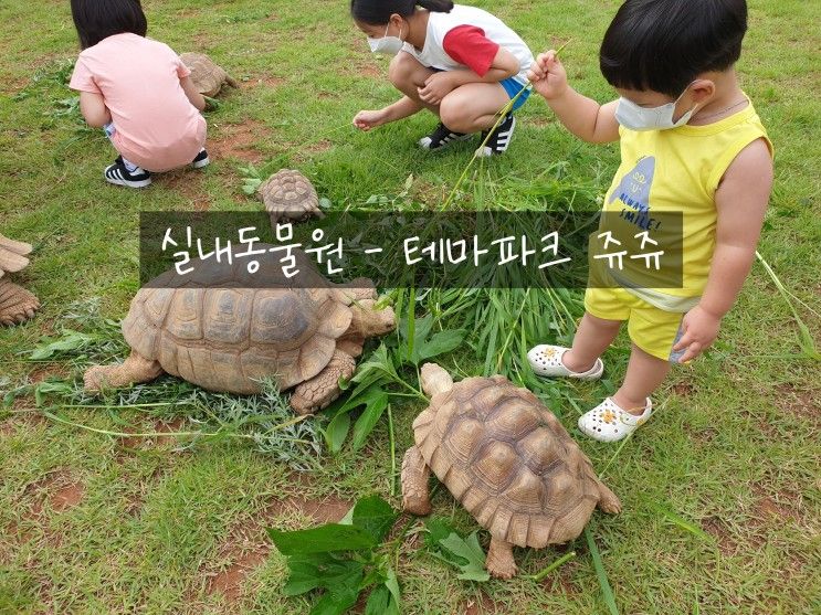 아이와 가볼 만한 곳 - 일산 실내 동물원! 테마파크 쥬쥬,쥬라리움(구버전),물놀이