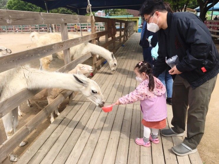 4살 아이랑 일산 테마파크 쥬쥬 동물원