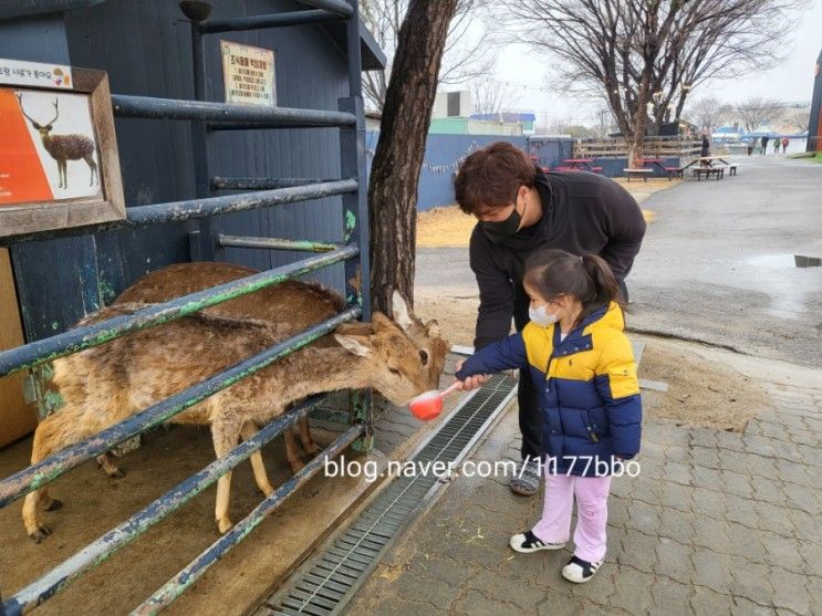 경기도 고양 아이와 가볼만한곳 :) 테마파크 쥬쥬 동물원