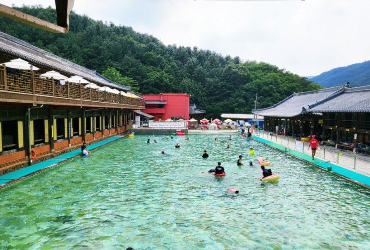 [양주 장흥 한옥수영장] 한산한 평일에 가서 재밌게 놀다온 후기/고기굽는 수영장