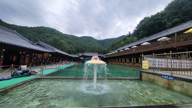 [경기도/양주] 취사가능한 '장흥한옥수영장' / 서울근교 야외수영장 당일여행 물놀이 추천!!!