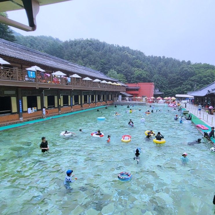 양주 장흥 한옥수영장 예약 평상 추천 팁, 취사가능 실제모습