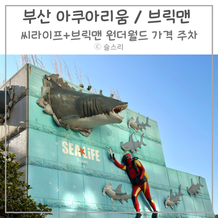 부산 해운대 아쿠아리움 씨라이프 브릭맨 원더월드 할인 가격...