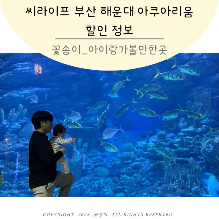 씨라이프 부산 해운대 아쿠아리움 할인 정보