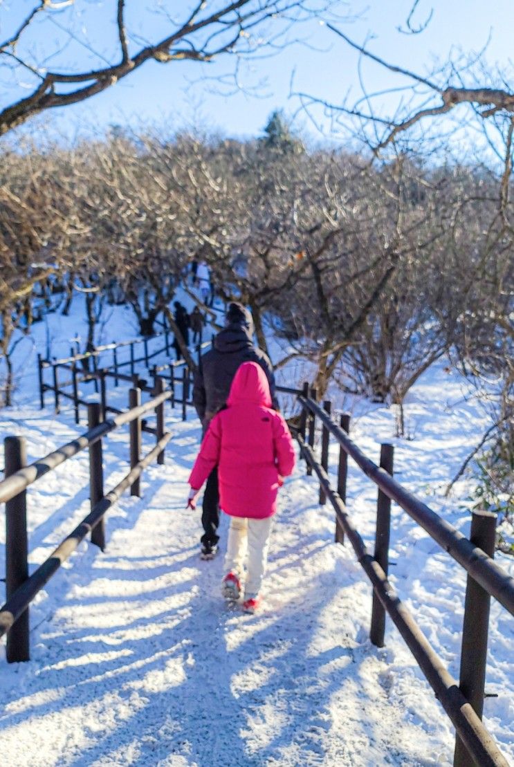 국내 겨울 여행지 가족 온천 설산 1월 여행 추천 베스트7