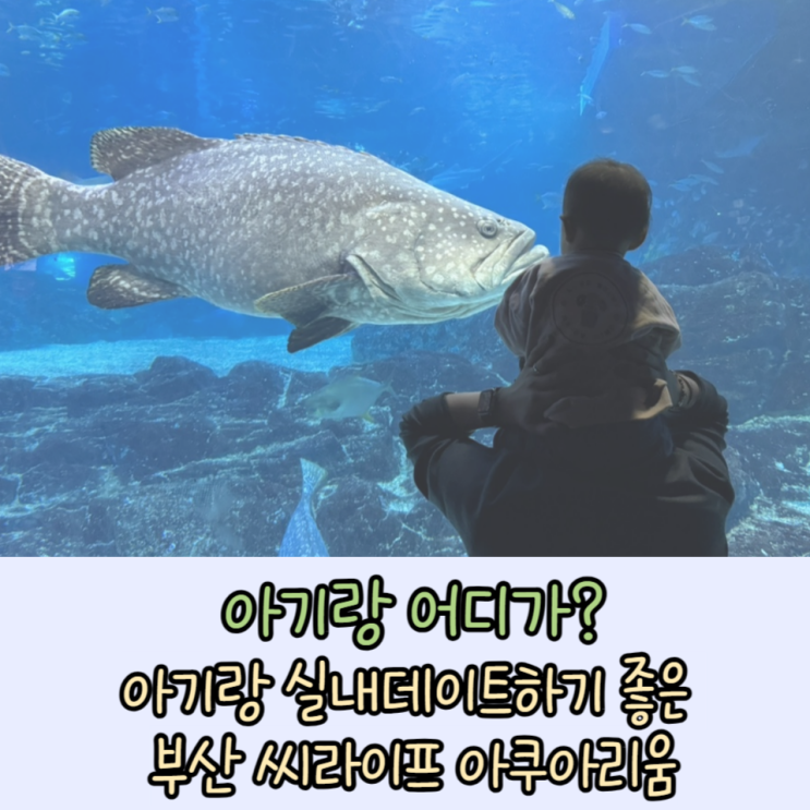 부산가볼만한곳 : 아기랑 씨라이프 부산 아쿠아리움 (+브릭맨 전시)