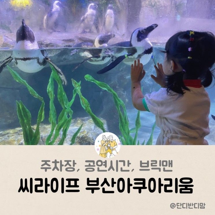 부산 아기랑갈만한곳 실내 씨라이프해운대 부산 아쿠아리움...