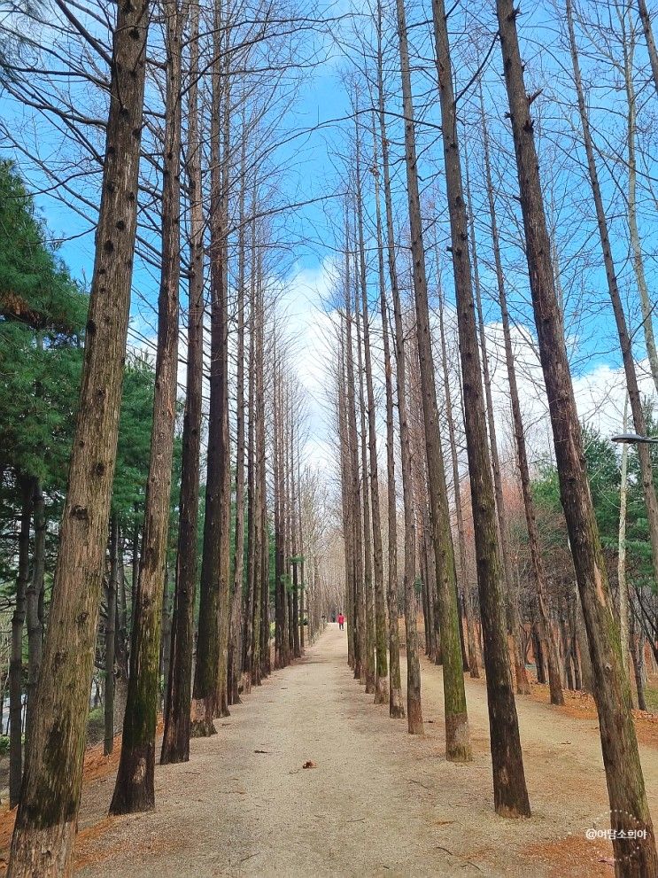 곧 개관할 서울물재생체험관 미리 보고 왔어요.  사전개관소식