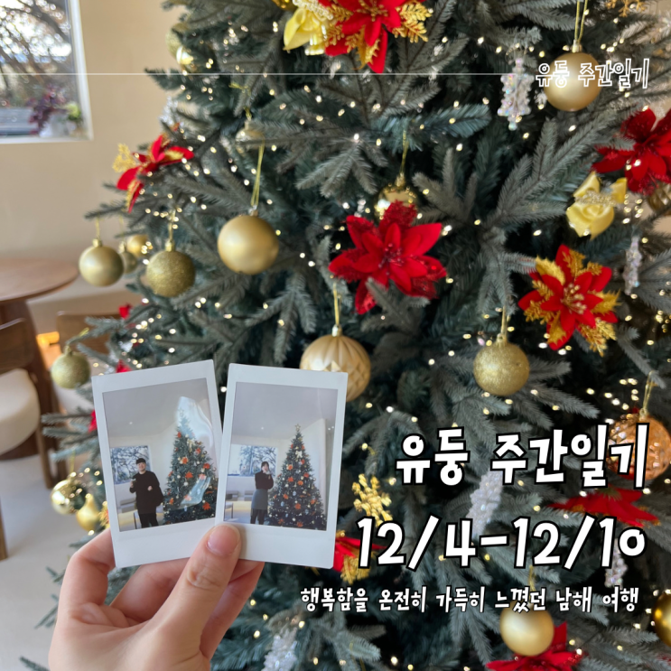 [유둥 주간일기] 12/4-12/10 남해 여행으로 행복 충전