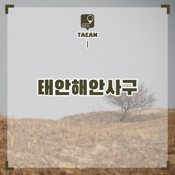 태안 신두리 해안사구 태안 여행 충청도 여행지