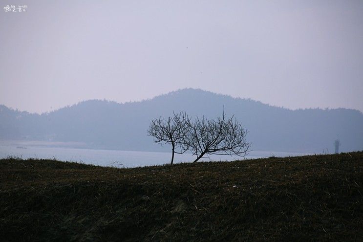 충청도 나들이 태안 신두리해안사구 신두리해수욕장 사진 찍기...