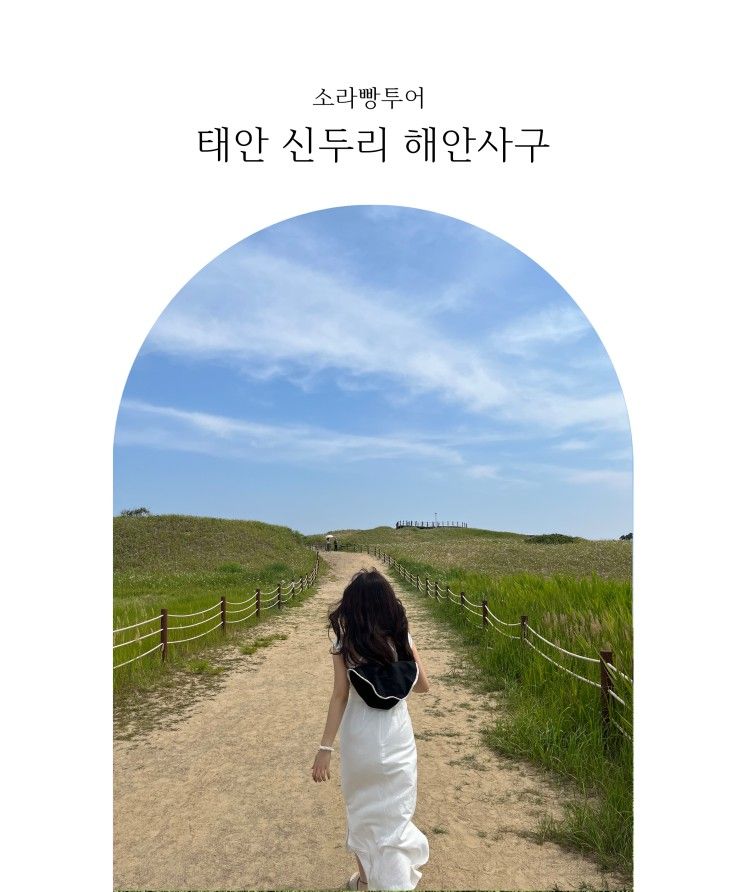 [태안여행] 태안신두리해안사구_ 한국에서 사막즐기기!