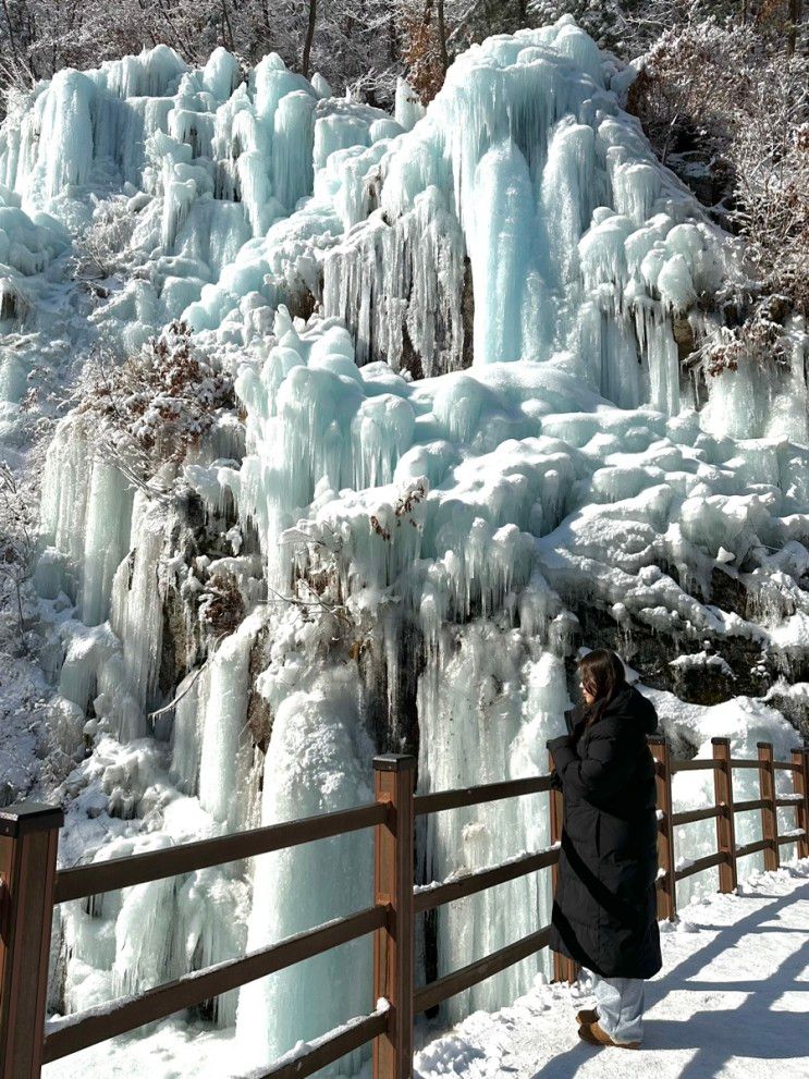 [경기도/가평] 서울 근교 유명산 어비계곡(산장) 얼음폭포 빙벽...