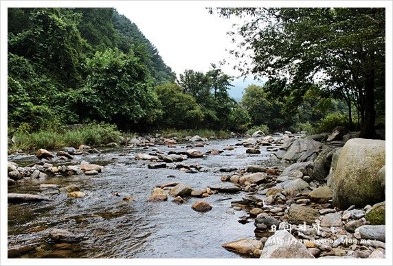 유명산 어비계곡에서의 한가한 여름휴가3, 생모리츠, 유명산자...